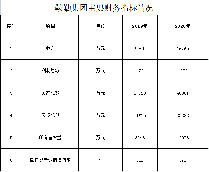 极速电竞比分网2019年度-2020年度财务指标情况